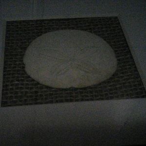 Meet your Posher, Tilden